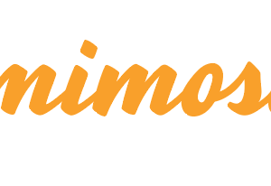 Mimosa
